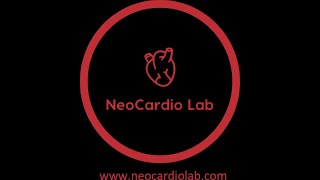 NICU血流动力学与床旁超声临床基础实操 封面