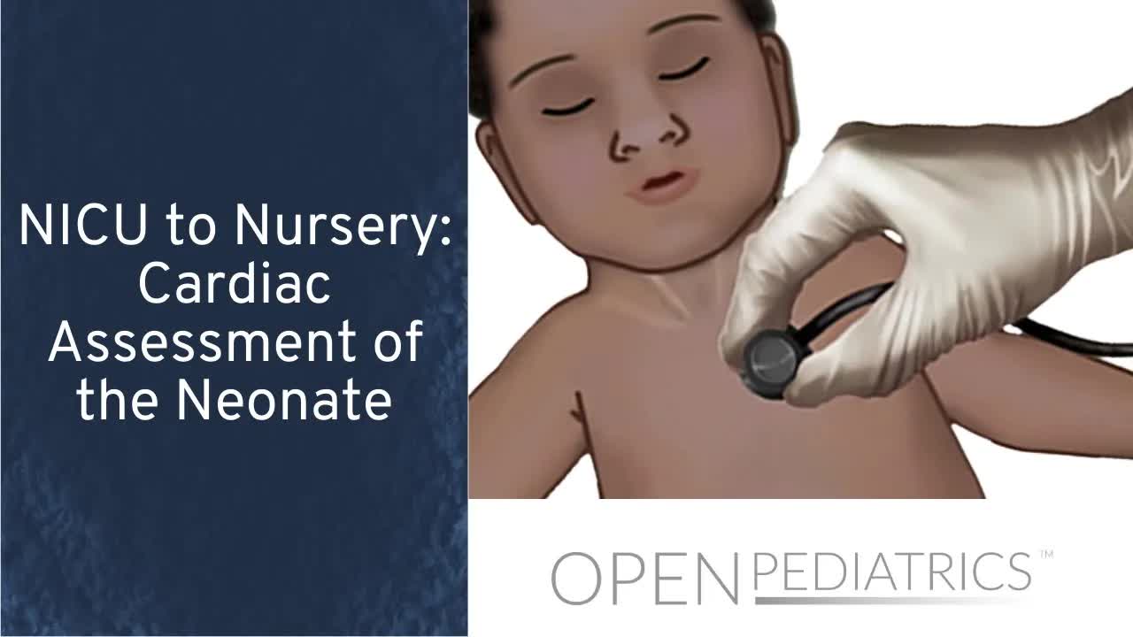 NICU到家庭病房：新生儿心脏评估与造口居家护理 封面