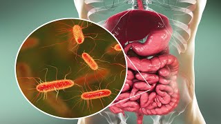 病原微生物与感染病全景：从细菌病毒到真菌原虫的临床认知构建 封面