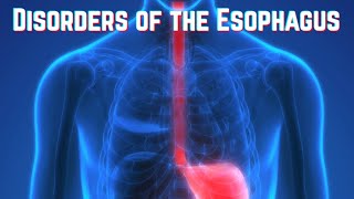 消化内科疾病与胃肠病学精讲：从食管到结肠的核心诊疗与临床思维 封面