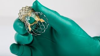 心脏瓣膜介入核心技术临床全类型实操解析 封面