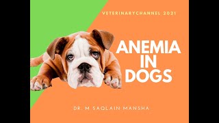小动物兽医内科病例精讲：犬猫常见疾病诊断与处理 封面