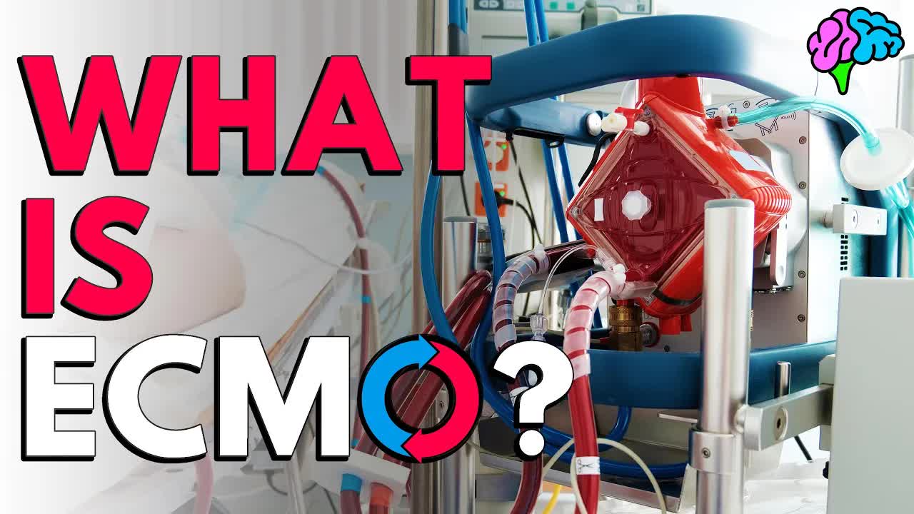ECMO体外膜肺氧合 封面