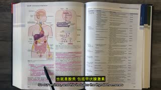 基础医学 最新课程：Guyton内分泌学精讲：垂体、甲状腺、肾上腺、胰岛素与生殖系统封面