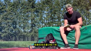 康复医学 最新课程：膝关节康复训练体系：力量恢复、功能重建与终生技能提升封面