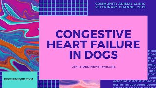 小动物心血管实战：心衰、瓣膜病、心肌病与药物管理全类型 封面